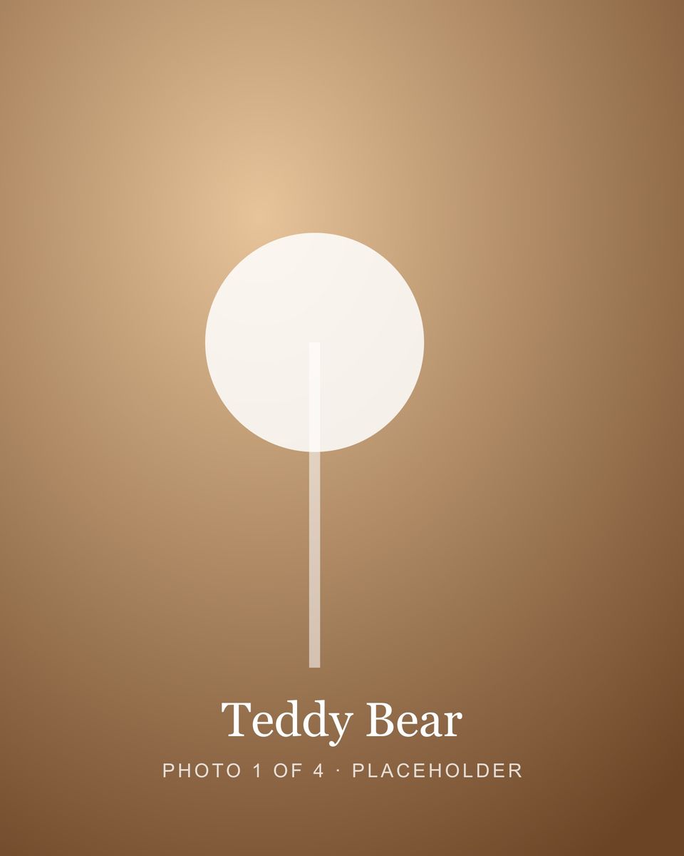 Teddy Bear
