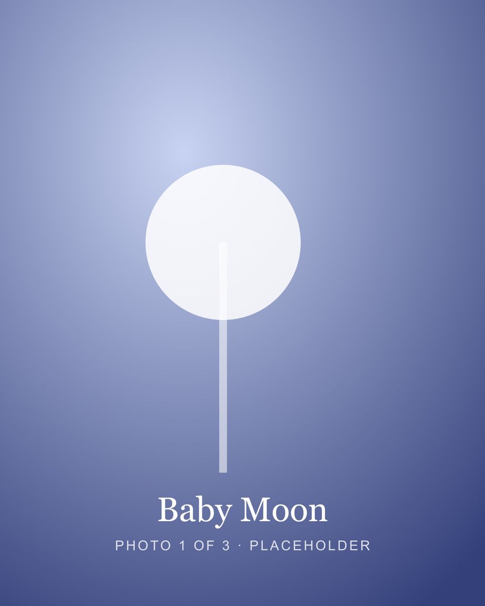 Baby Moon