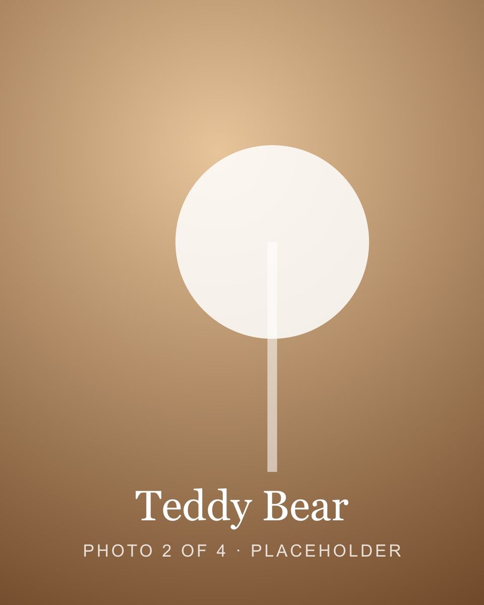 Teddy Bear