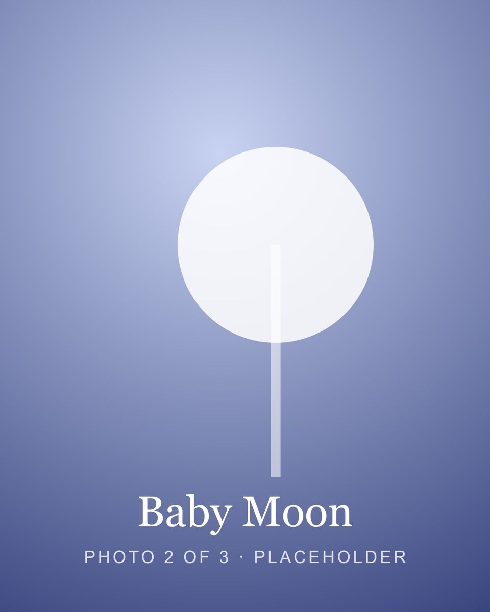 Baby Moon