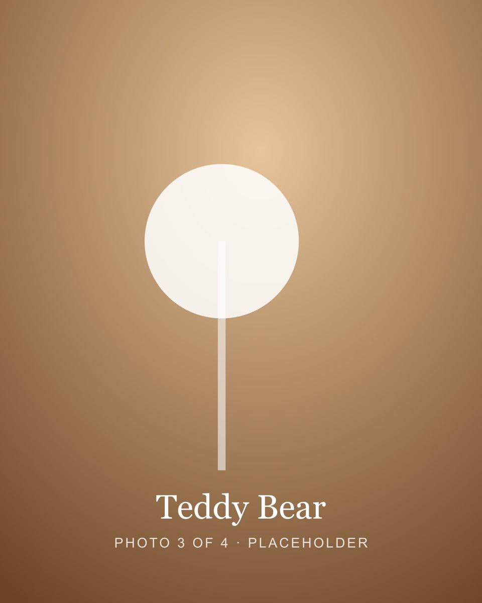 Teddy Bear