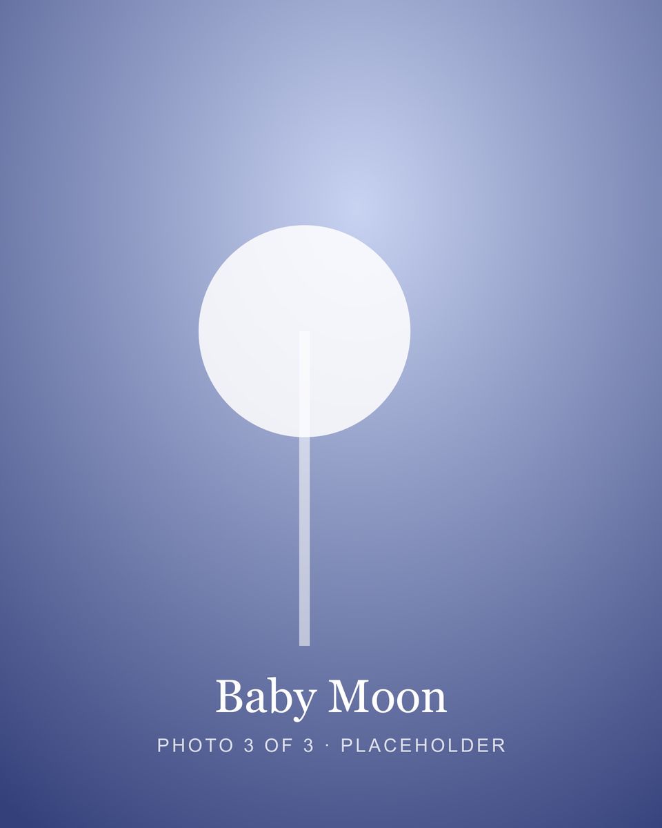 Baby Moon