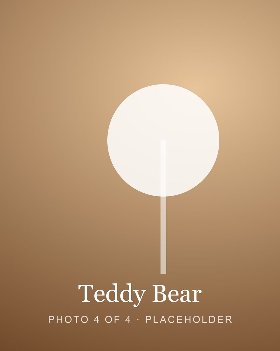 Teddy Bear
