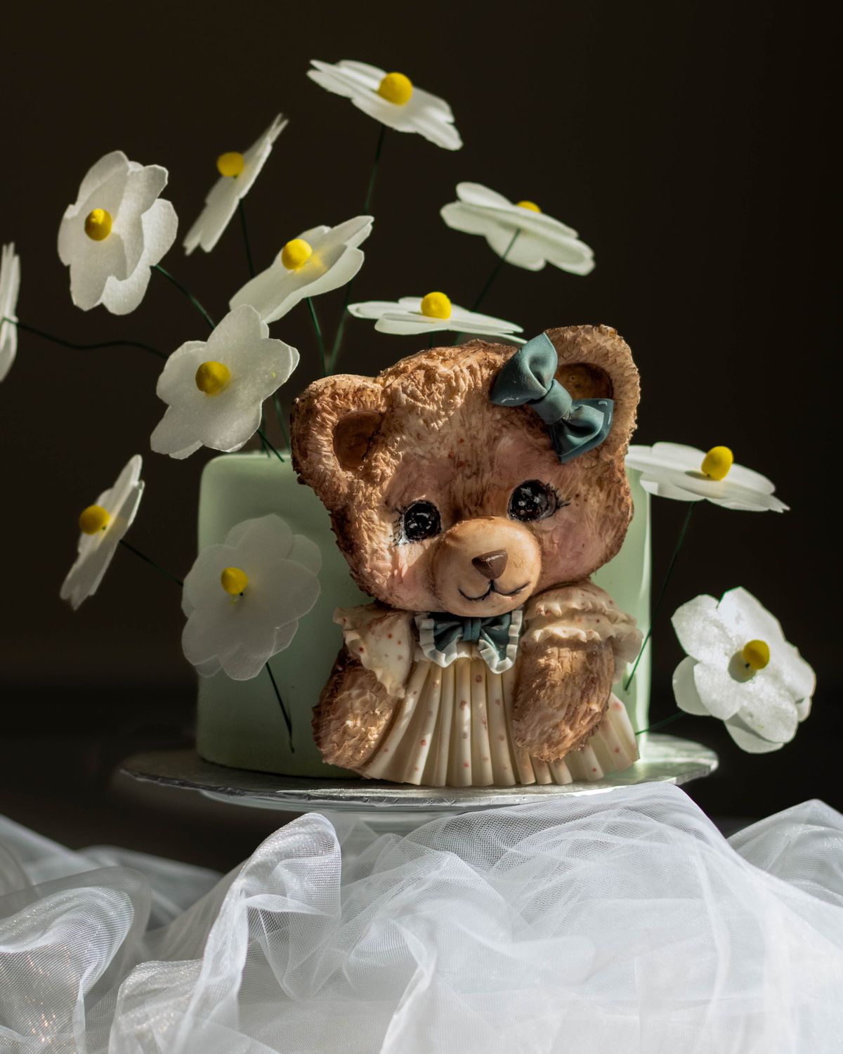 Teddy bear relief and daisies