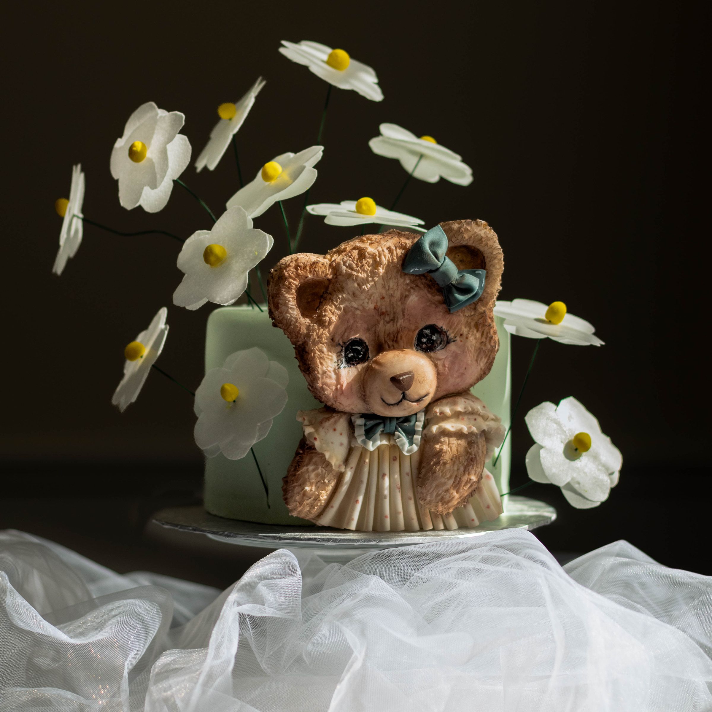 Teddy bear relief and daisies