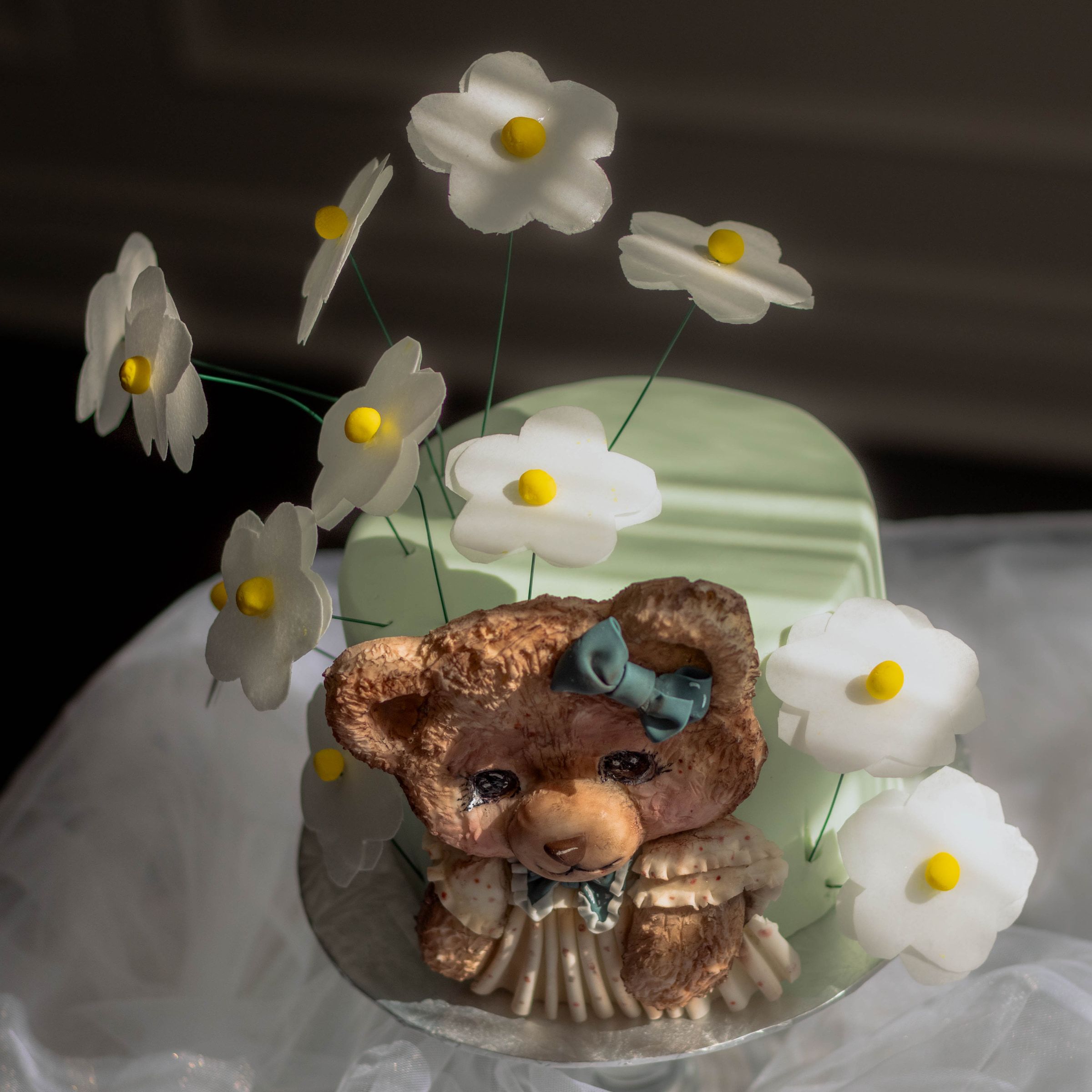 Teddy bear relief and daisies
