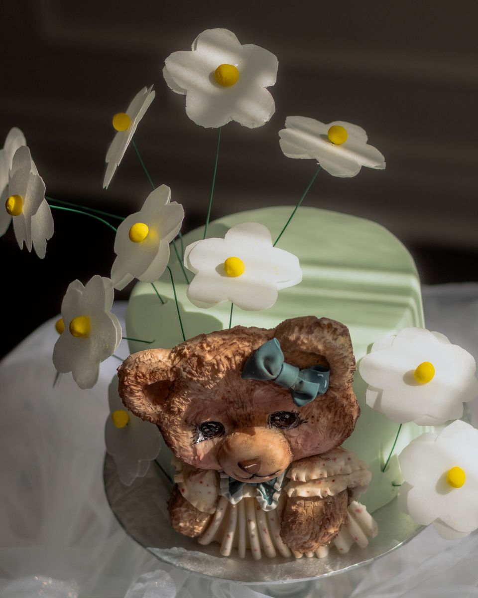 Teddy bear relief and daisies